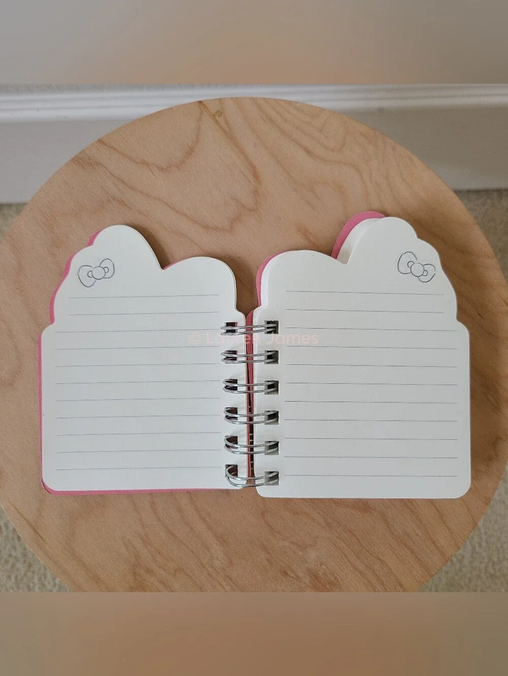Miffy x Hello Kitty Mini Notebook Set